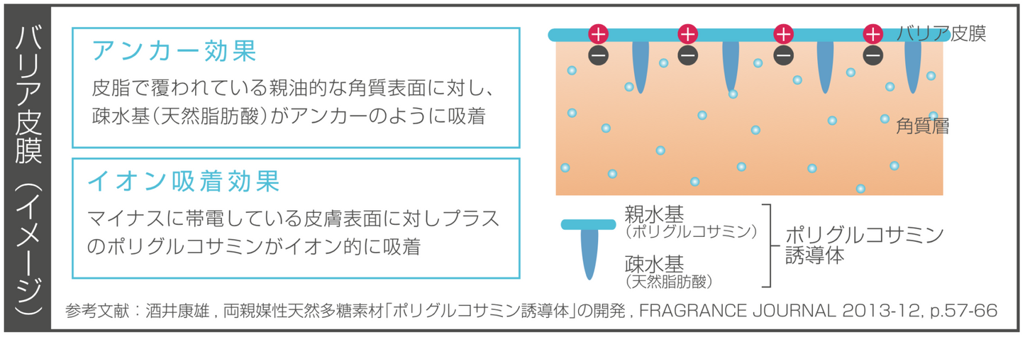 スキンモイストW